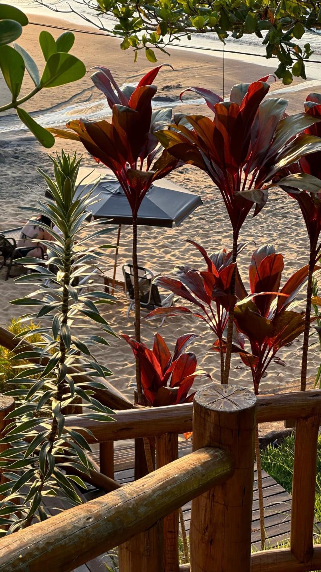 Pousada Belas Aguas Praia de Araçatiba エクステリア 写真
